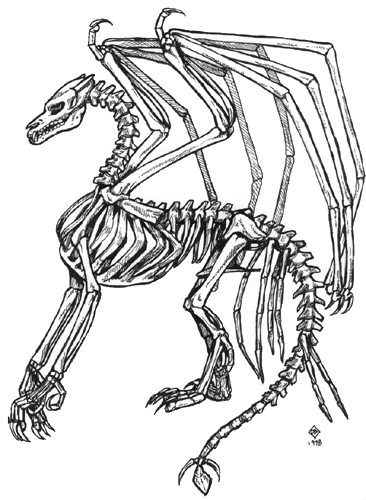 skeleton dragon tattoos