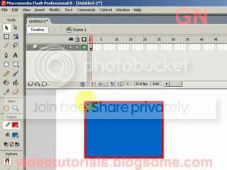 Image before modify with selection tool