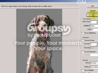 Select Preview button
