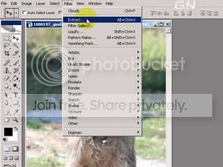 Select Extract Filter