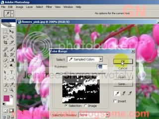 Select with color range tool