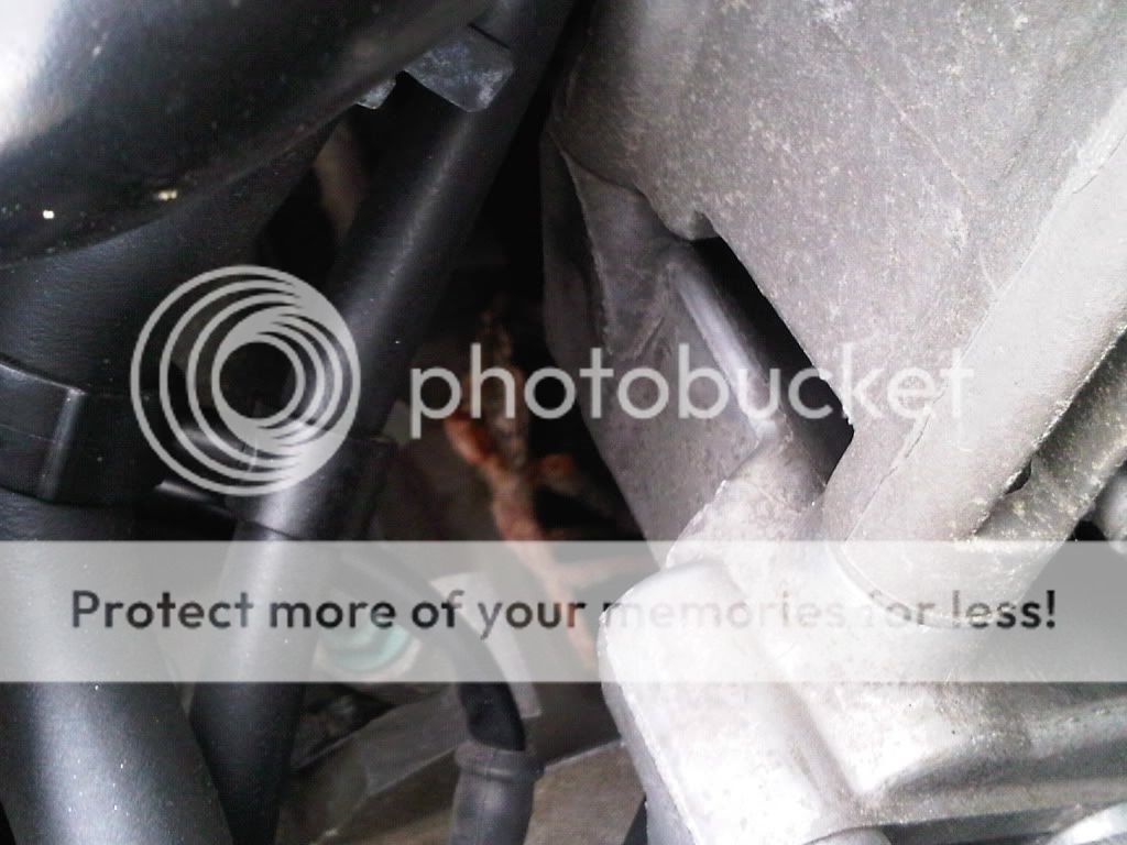 Antifreeze leaking from Head gasket...need help!