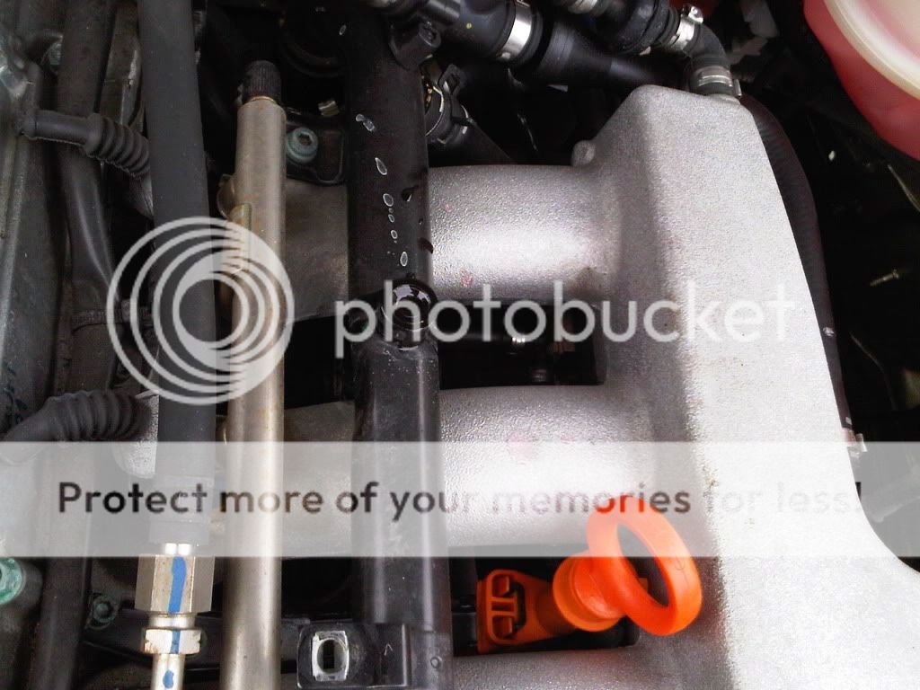 Antifreeze leaking from Head gasket...need help!