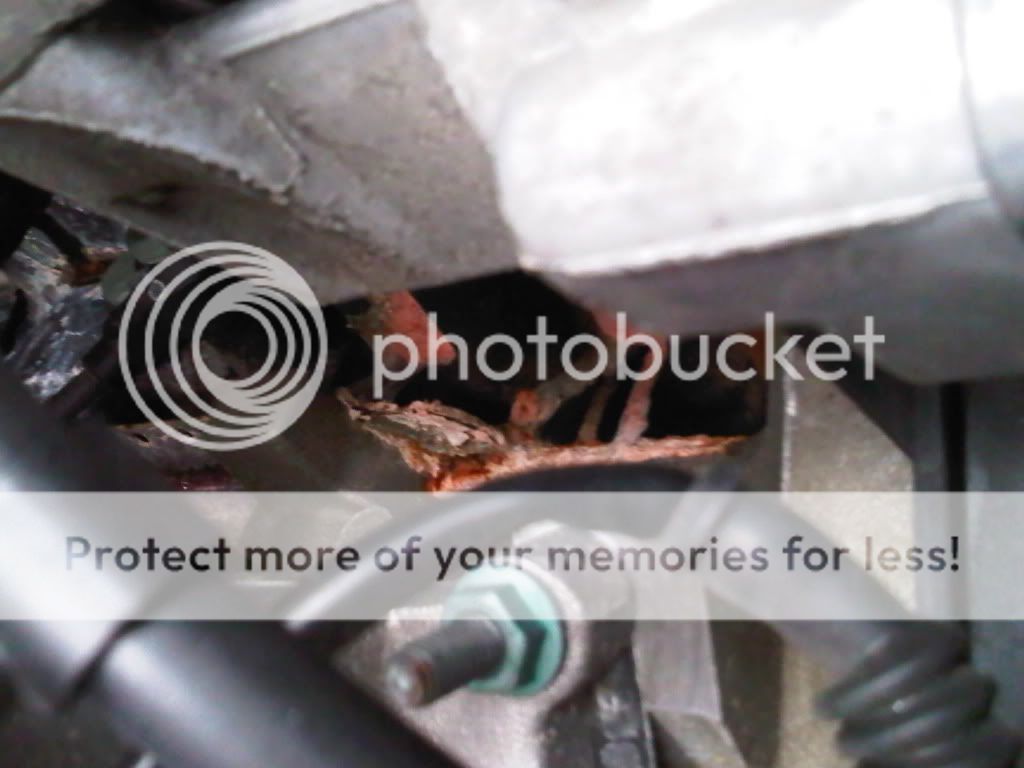 Antifreeze leaking from Head gasket...need help!