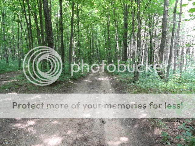 http://i474.photobucket.com/albums/rr106/ack535/DSC00018.jpg