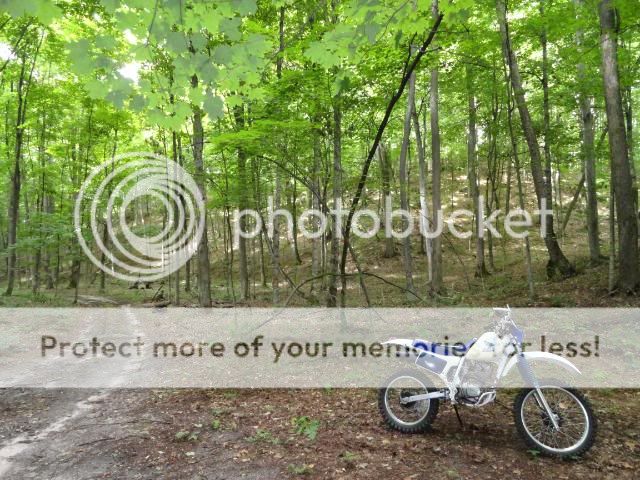 http://i474.photobucket.com/albums/rr106/ack535/DSC00039.jpg