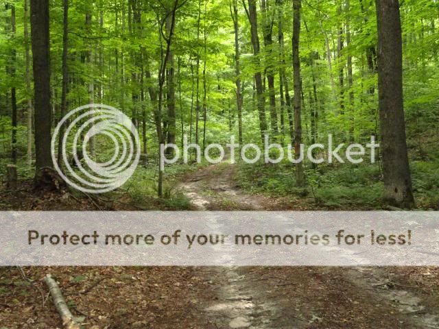http://i474.photobucket.com/albums/rr106/ack535/DSC00040.jpg