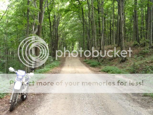 http://i474.photobucket.com/albums/rr106/ack535/DSC00046.jpg