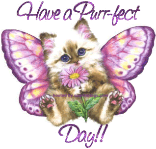 have-a-nice-weekend-comment