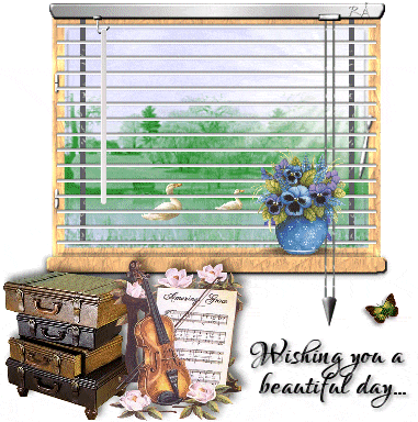 have-a-nice-weekend-comment