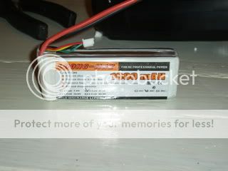 SSA44075.jpg