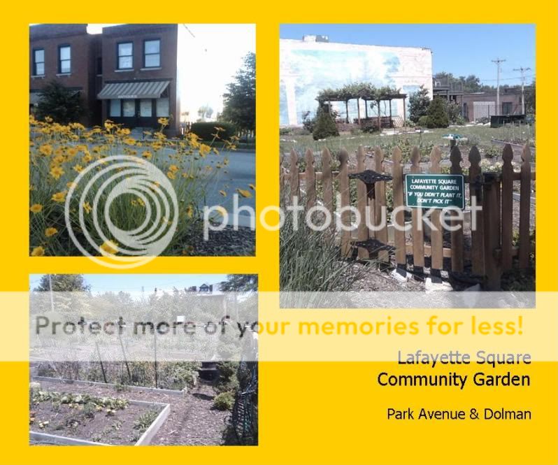 Lafayette Square Community Garden - You Don't Have to Give Up Gardening