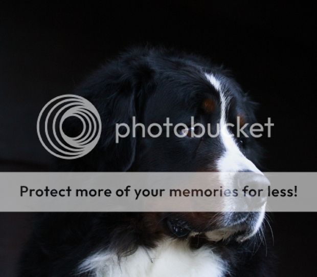 photo 0e1086b6-ce79-4553-8e5c-46eb4e34163c_zpsd741f46c.jpg