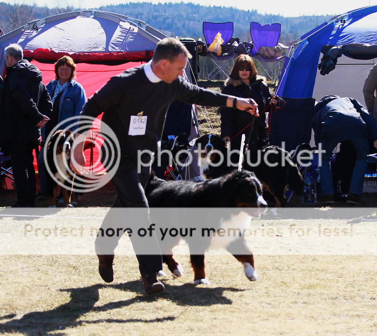 photo 027_zps1e3fbe2c.jpg