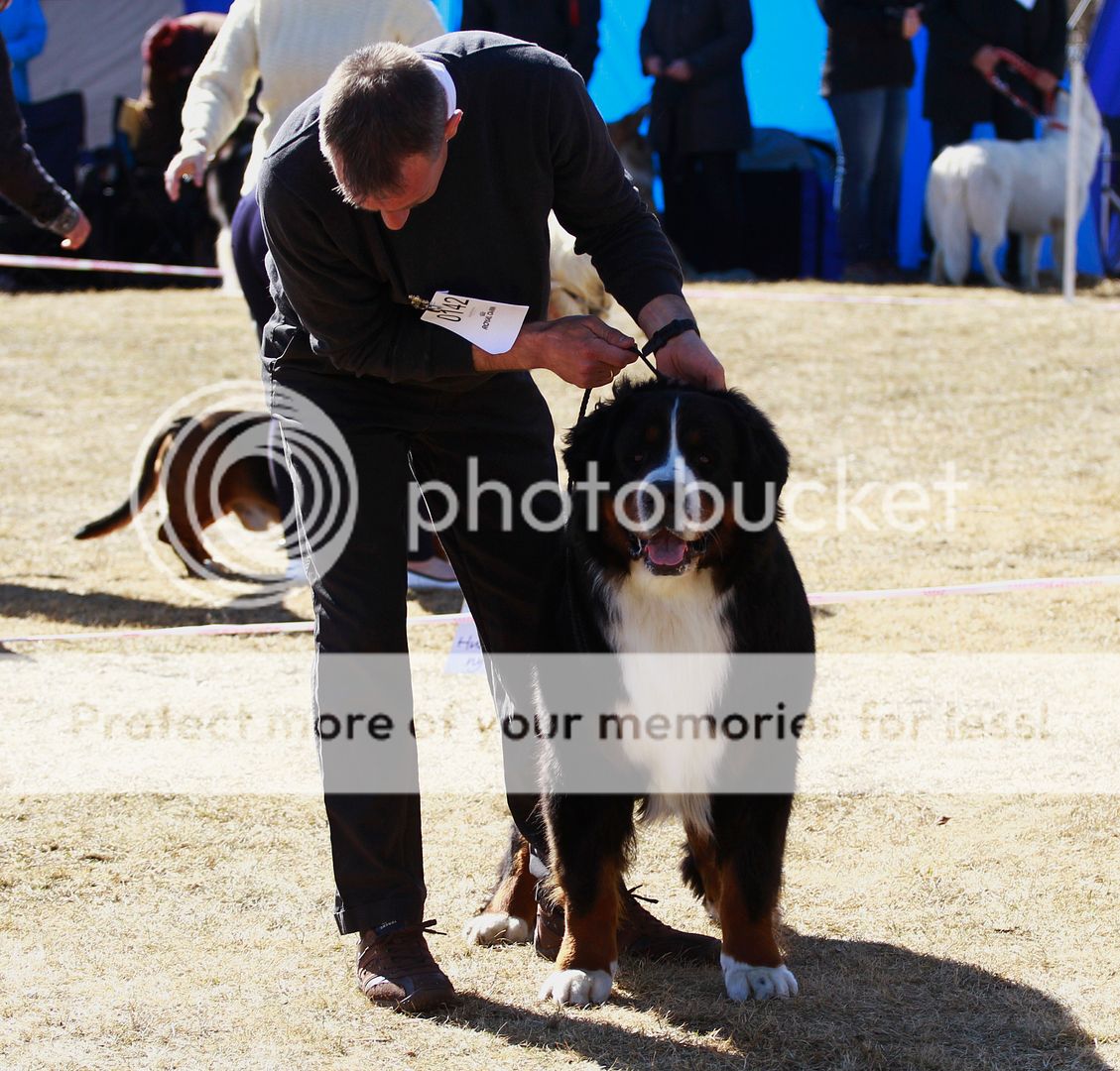 photo 029_zps60cfcde4.jpg