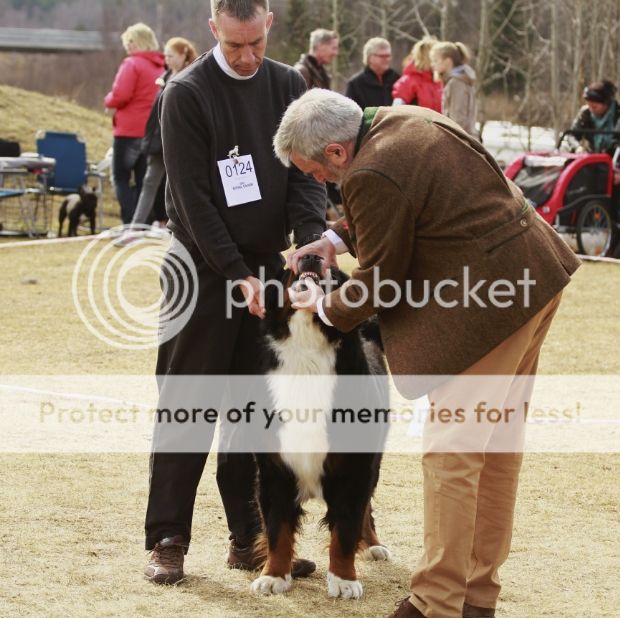 photo 183e9ca8-d0fb-4a0f-a59e-42549142bf53_zpsb86647e7.jpg
