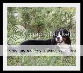 012-1.jpg picture by elgtun