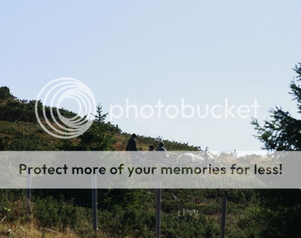 photo bfbea75c-df2d-45bb-bf85-fce0794c7aaf_zps5eecb1da.jpg