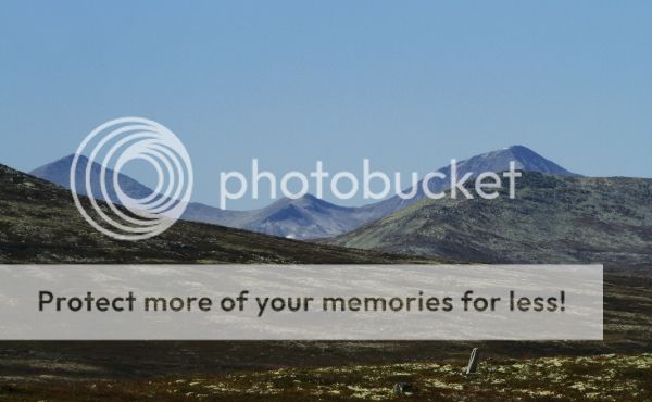 photo cbc36165-323a-4e5d-b731-199b6926df8f_zps52fc1b28.jpg