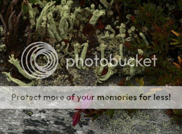 photo f4e8192b-fd88-4da0-b333-5bfc51e8977c_zps87893568.jpg