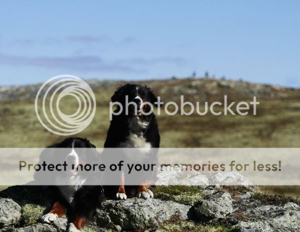 photo a7d56cc5-7fb1-462c-b443-6031c3a85747_zps2b9469a1.jpg