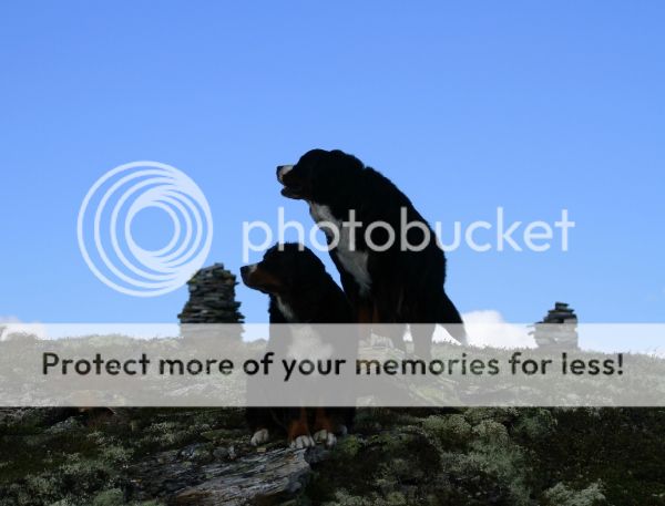 photo da0f7d38-58ab-4640-a61e-19c483787845_zps56c9106c.jpg