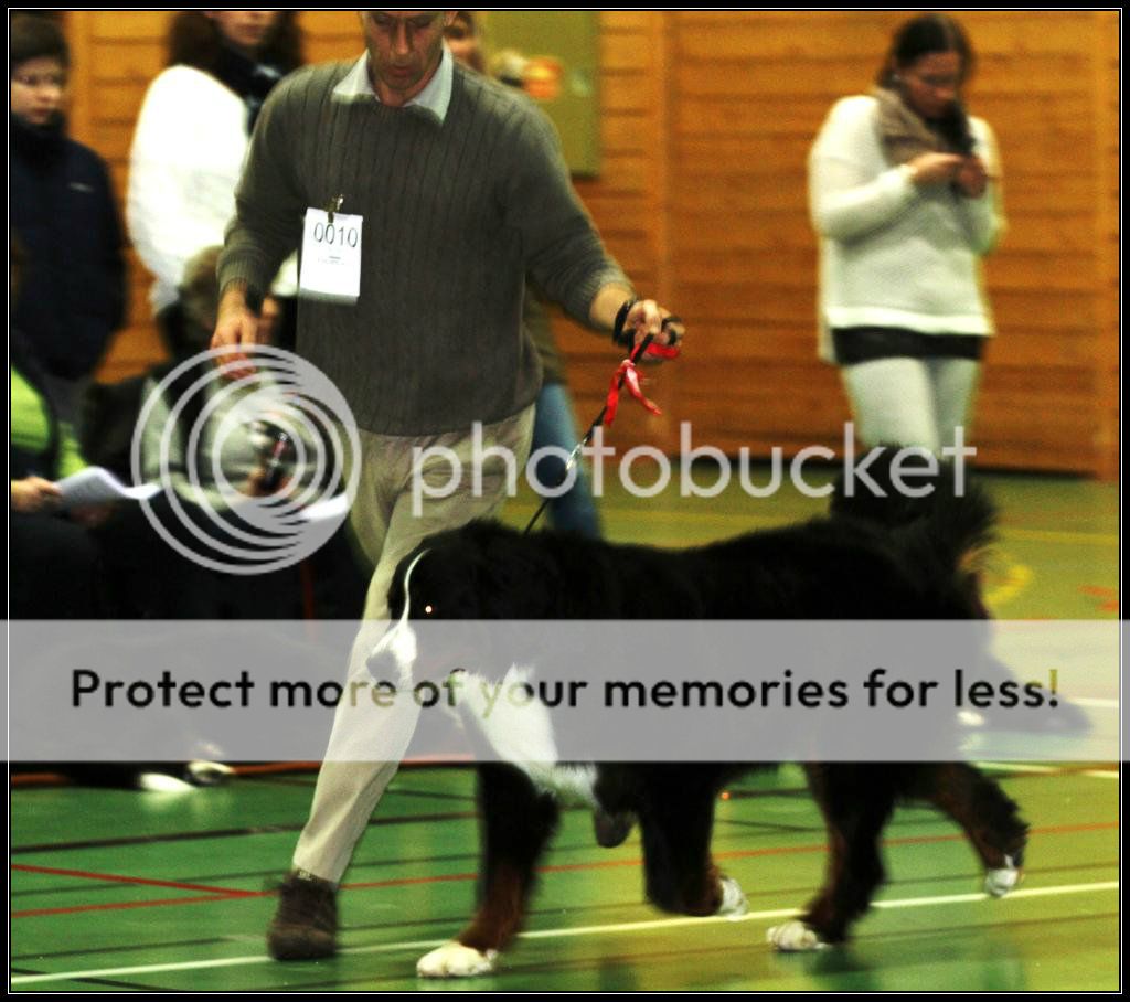 032_zpsdc3883a4
