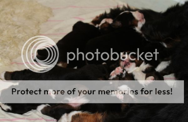 photo db7d5b89-292a-4b17-82b2-9f239883a63f_zps4e78715f.jpg