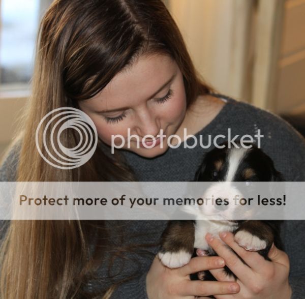 photo 1d9a284d-d34c-411d-8dc7-13e3da5eeecb_zps2a69f120.jpg