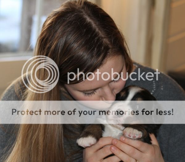 photo 833cc155-fda5-4db6-ab00-67a99af45aa0_zps7595e754.jpg