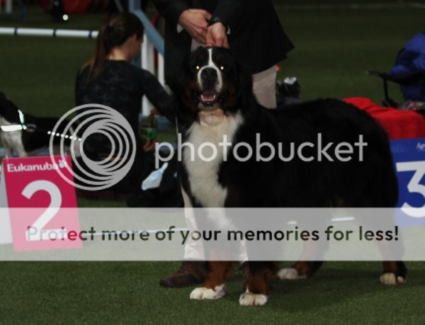 photo d51378e8-b1cb-4f17-aaf0-71ed8bdf1f06_zps27ca5f52.jpg
