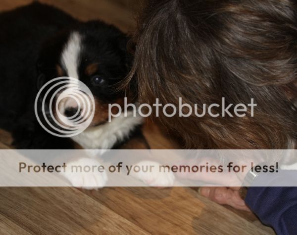 photo f77eeaf6-a3eb-4765-a51f-875a7ba472d5_zpsc5cddb7e.jpg