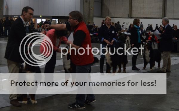 photo 5fa0d3d1-75f7-4330-9fa9-494ce424e223_zps0e4ed024.jpg