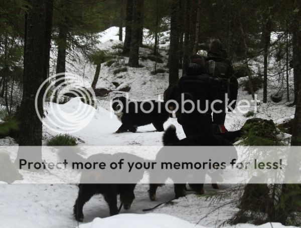 photo
660bf21e-8ce4-4910-8109-70e6a8ece3da_zpsk7yozurg.jpg