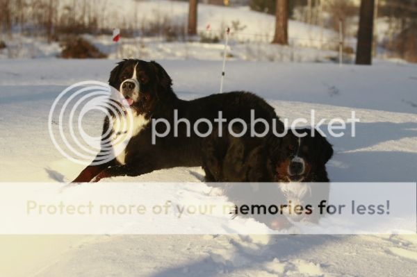 photo ac2e6bbc-39ed-4bd7-b1ea-404867180ad9_zps4a84dc34.jpg