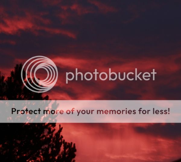 photo 6d2c3853-4e43-4c9e-ad59-2f25e6bb45c2_zpse84c66c7.jpg