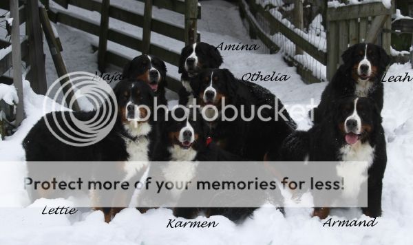 photo 8fbdb26a-5bc3-40c3-9fe5-913458ccbcaa_zps0d096a49.jpg