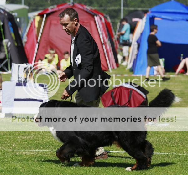 photo 490e17b7-bfc4-4400-a5d6-7b67176f2995_zpsfdeb7a8e.jpg