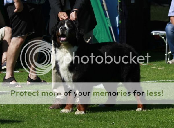 photo 53757095-3643-4d87-9e1c-3fb161399fc5_zps21d08da6.jpg