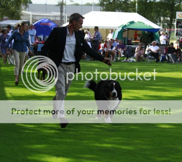photo d519d43f-5d0d-4dac-a6de-9ed1dfb05407_zpsd3151cda.jpg