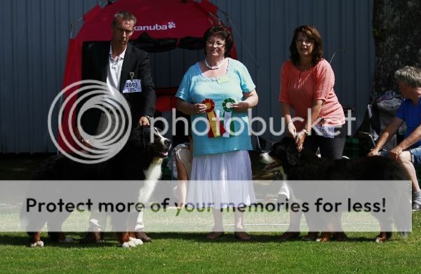 photo d823b561-f066-464f-b346-e0fefb2b9654_zpsf456c866.jpg