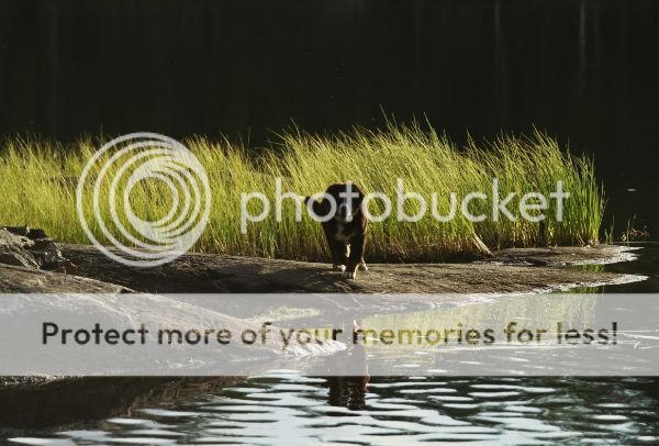 photo 437393b1-8e71-4a0b-8e43-ca5d75957551_zps56093ed6.jpg