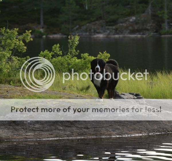 photo ee605cbf-c46a-4c2e-82ae-c0753dd46801_zpsa094e0bb.jpg