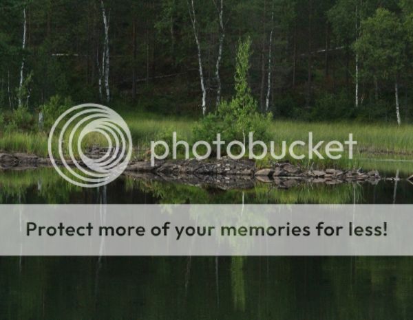 photo fbde5316-06d4-4fb0-bf49-2eaf4eba2ce6_zps3852d8e4.jpg