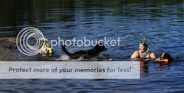 photo 48d487b7-40e0-4c16-b04b-f5062c5337e5_zps1e773eb4.jpg