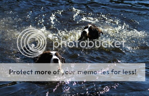 photo d28529df-c02b-4b32-b897-33f3a87dfeed_zps04a538df.jpg