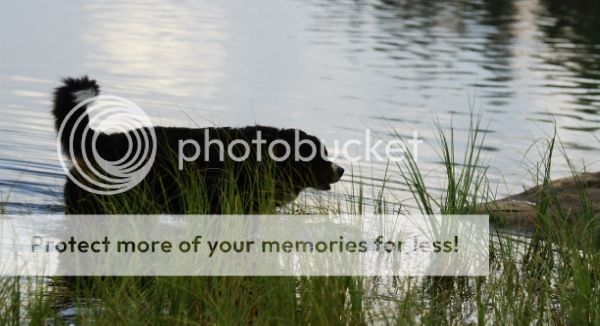 photo aea92db6-df91-47cc-86f3-b6905fb54dd4_zps8dc204c0.jpg