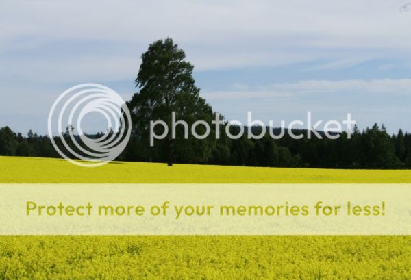 photo 3c98921b-865d-40f8-98b1-f1ab5f0e8b9d_zps7e69bd1a.jpg
