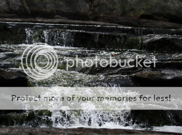 photo 67c8f8a7-8da9-4061-b9dd-129b6f226a83_zps4a3980c1.jpg