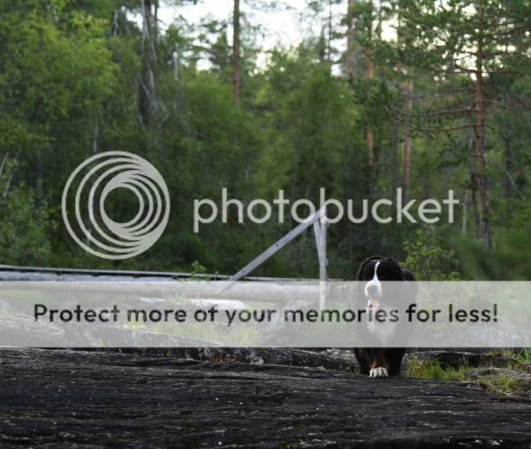 photo dbbe0883-68fc-45e2-90a9-7fbf2bbef20f_zpsb82d11c7.jpg
